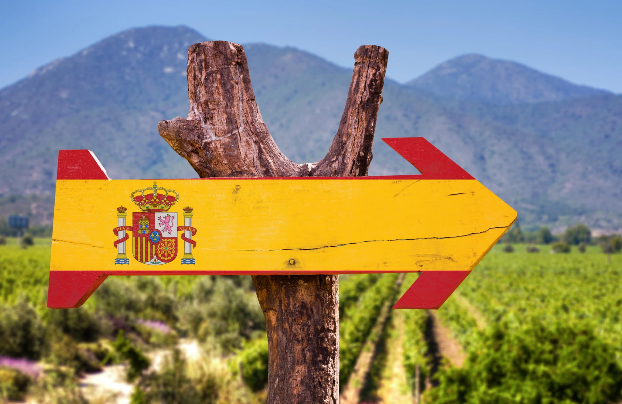 Servicios para extranjeros en España